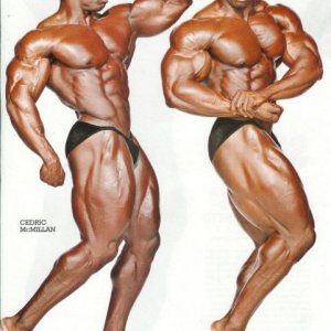 2012 Bodybuilding Images