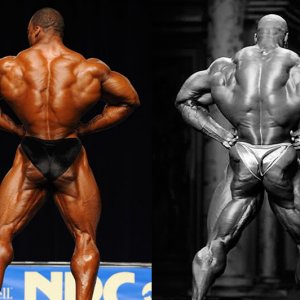 2012 Bodybuilding Images