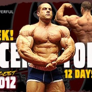 2012 Bodybuilding Images