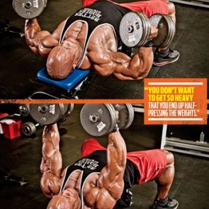 2012 Bodybuilding Images