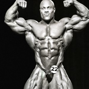 2012 Bodybuilding Images