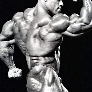 2012 Bodybuilding Images