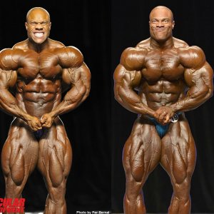 2012 Bodybuilding Images