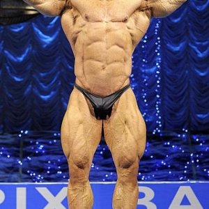 2012 Bodybuilding Images