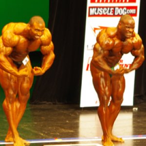 2012 Bodybuilding Images