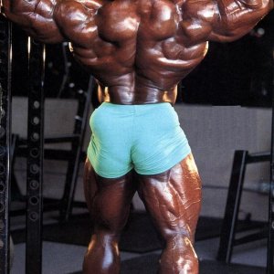 2012 Bodybuilding Images