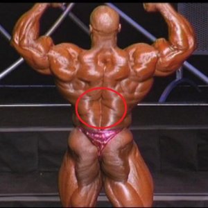 2012 Bodybuilding Images