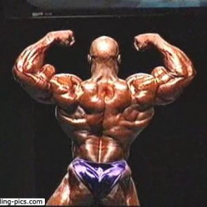 2012 Bodybuilding Images