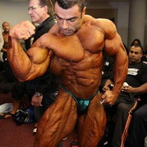 2012 Bodybuilding Images