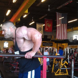 2012 Bodybuilding images