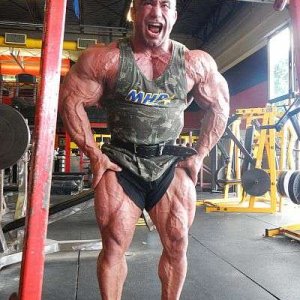 2012 Bodybuilding images