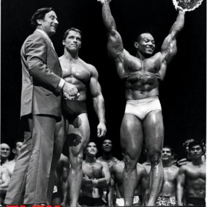 2012 Bodybuilding images