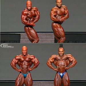 2012 Bodybuilding images