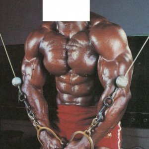 2012 Bodybuilding images