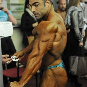 2012 Bodybuilding images