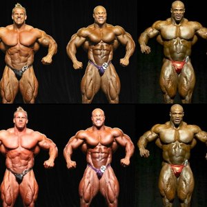 2012 Bodybuilding images