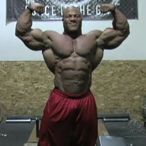 2012 Bodybuilding images