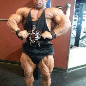 2012 Bodybuilding images