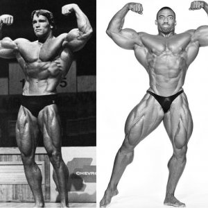 2012 Bodybuilding images