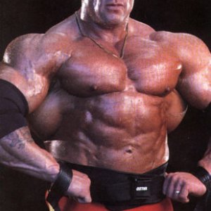 2012 Bodybuilding images