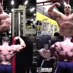 2012 Bodybuilding images