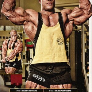 2012 Bodybuilding images