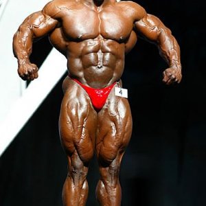 2012 Bodybuilding images