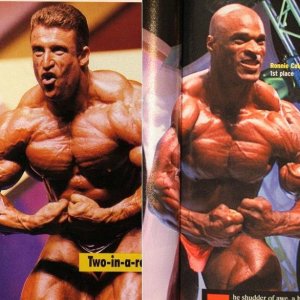 2012 Bodybuilding images