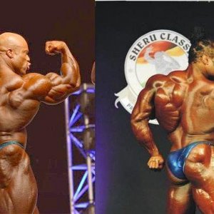 2012 Bodybuilding images