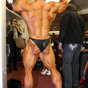 2012 Bodybuilding images