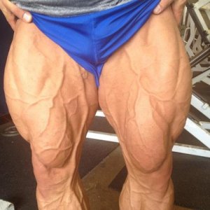 2012 Bodybuilding images