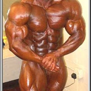 2012 Bodybuilding images