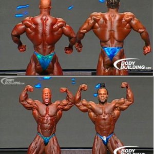 2012 Bodybuilding images