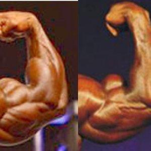 2012 Bodybuilding images