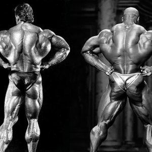 2012 Bodybuilding images