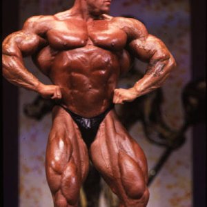 2012 Bodybuilding images