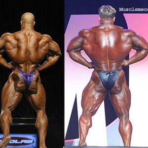 2012 Bodybuilding images