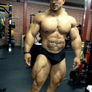 2012 Bodybuilding images