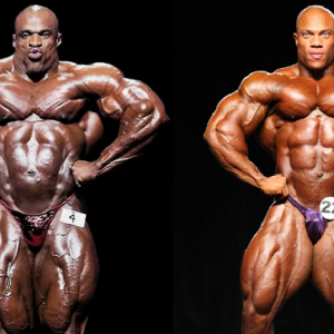 2012 Bodybuilding images