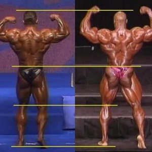 2012 Bodybuilding images