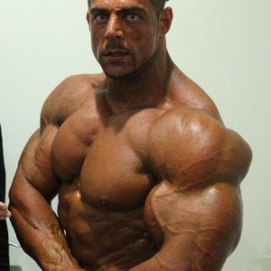 2012 Bodybuilding images