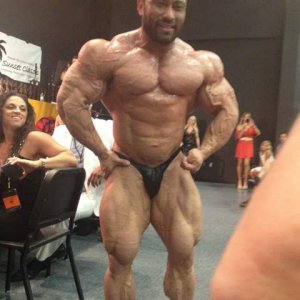 2012 Bodybuilding images