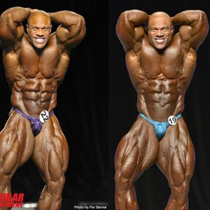 2012 Bodybuilding images