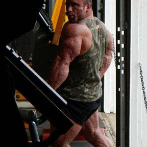 2012 Bodybuilding images