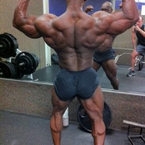 2012 Bodybuilding images