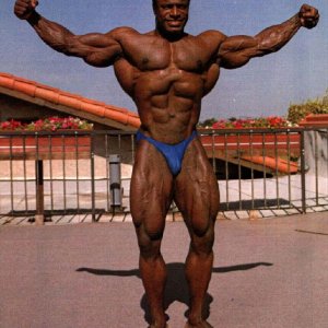 2012 Bodybuilding images