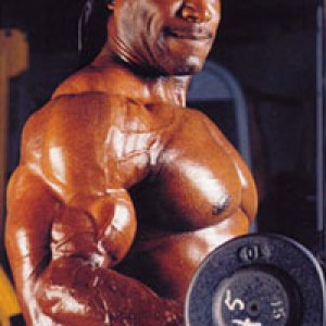 2012 Bodybuilding images