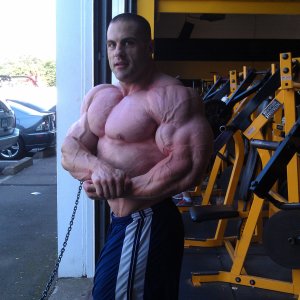 2012 Bodybuilding images