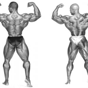 2012 Bodybuilding images