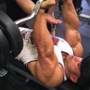 2012 Bodybuilding images